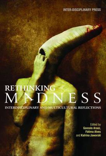 Cover image for Rethinking Madness