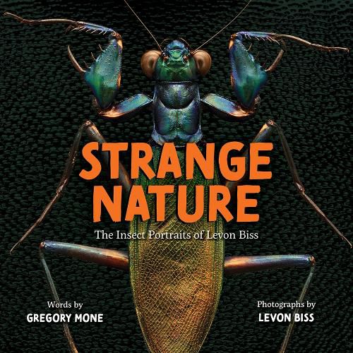 Cover image for Strange Nature: The Insect Portraits of Levon Biss