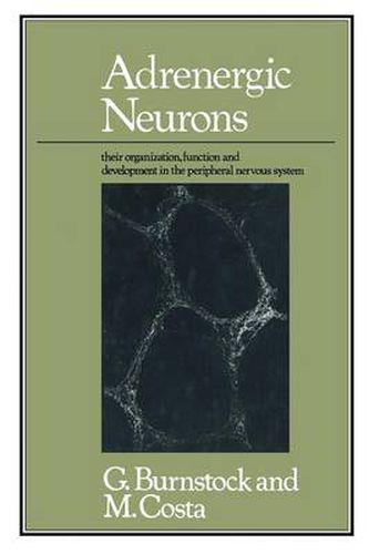 Cover image for Adrenergic Neurons: Their Organization, Function and Development in the Peripheral Nervous System