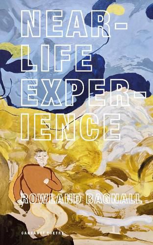 Cover image for Near-Life Experience