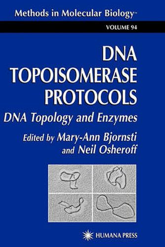 Cover image for DNA Topoisomerase Protocols: Volume I: DNA Topology and Enzymes