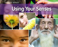 Cover image for Using Your Senses