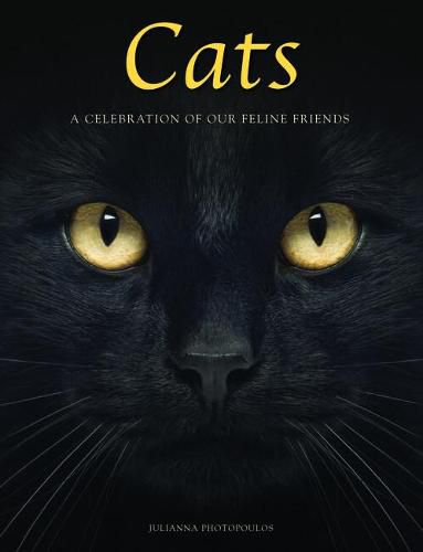 Cover image for Cats: A Celebration of our Feline Friends