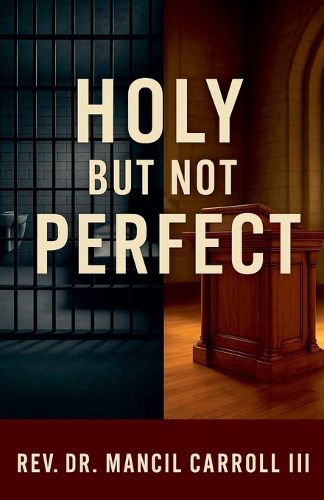 Cover image for Holy, But Not Perfect