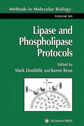 Cover image for Lipase and Phospholipase Protocols