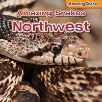 Cover image for Amazing Snakes of the Northwest