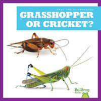 Cover image for Grasshopper or Cricket?