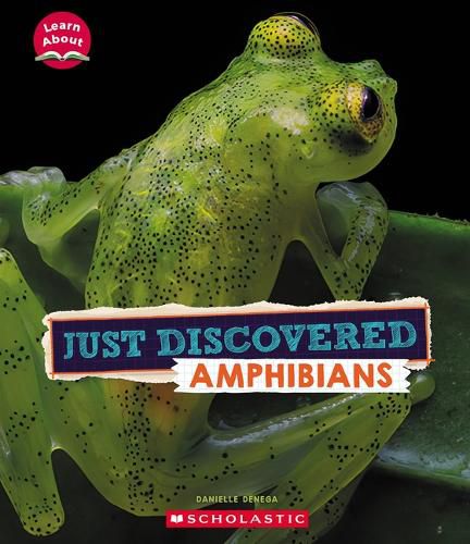 Just Discovered Amphibians (Learn About: Animals)