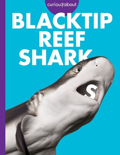 Cover image for Curious about Blacktip Reef Sharks