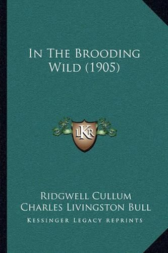 Cover image for In the Brooding Wild (1905)