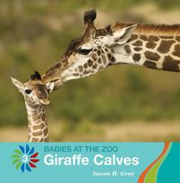 Cover image for Giraffe Calves