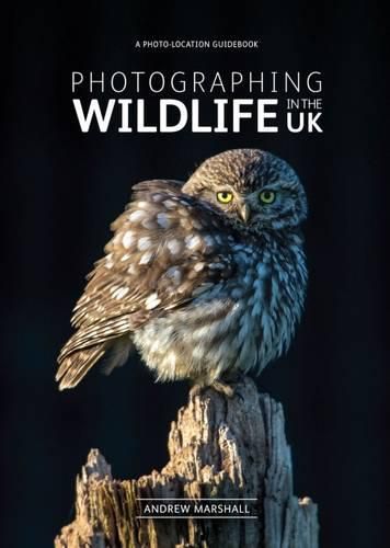 Cover image for Photographing Wildlife in the UK: Where and How to Take Great Wildlife Photographs