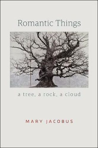 Cover image for Romantic Things: A Tree, a Rock, a Cloud