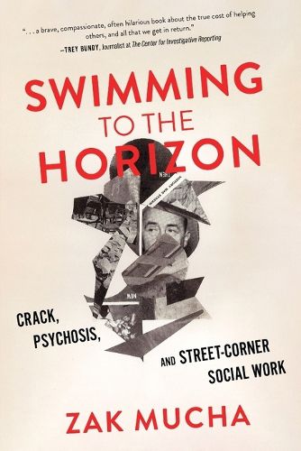 Cover image for Swimming to the Horizon