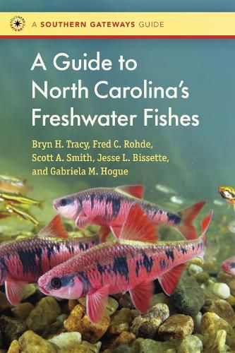 Cover image for A Guide to North Carolina's Freshwater Fishes