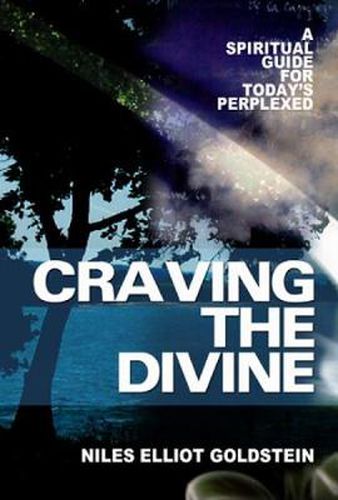 Cover image for Craving the Divine: A Spiritual Guide for Today's Perplexed