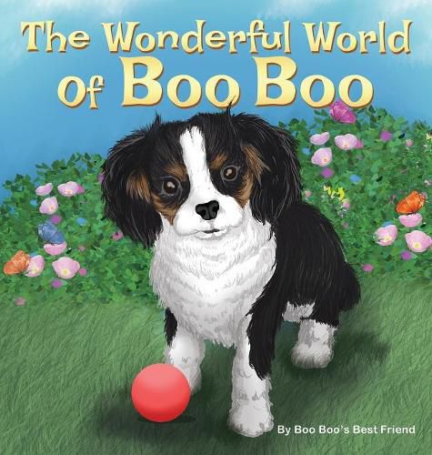 Cover image for The Wonderful World Of Boo Boo