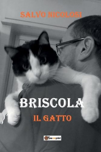 Cover image for Briscola il Gatto