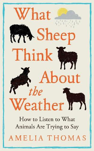 What Sheep Think About the Weather