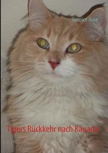 Cover image for Tigers Ruckkehr nach Kanada