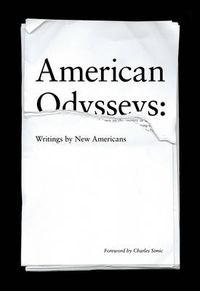 Cover image for American Odysseys