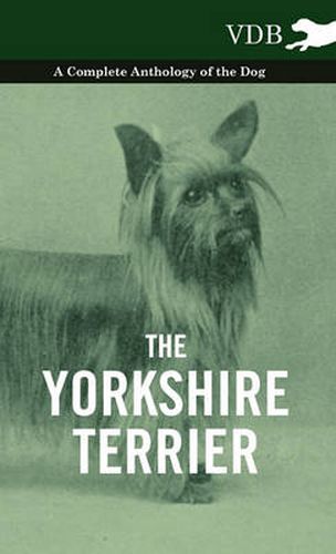 Cover image for The Yorkshire Terrier - A Complete Anthology of the Dog