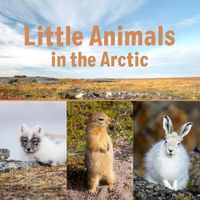 Cover image for Little Animals in the Arctic: English Edition