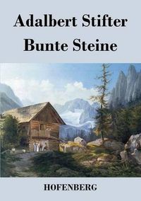 Cover image for Bunte Steine: Ein Festgeschenk