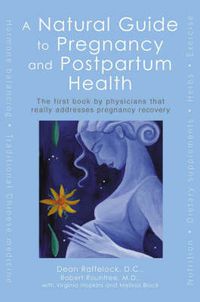 Cover image for A Natural Guide to Pregnancy and Postpartum Health: The First Book by Doctors That Really Addresses Pregnancy Recovery