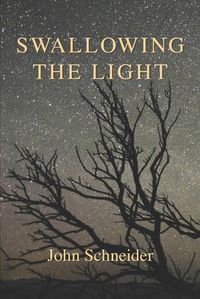 Cover image for Swallowing the Light