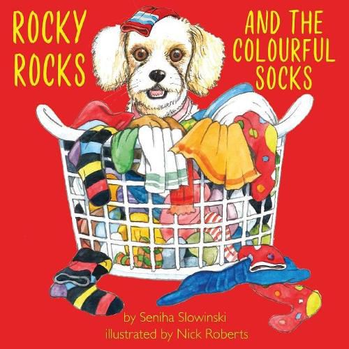 Cover image for Rocky Rocks and the Colourful Socks