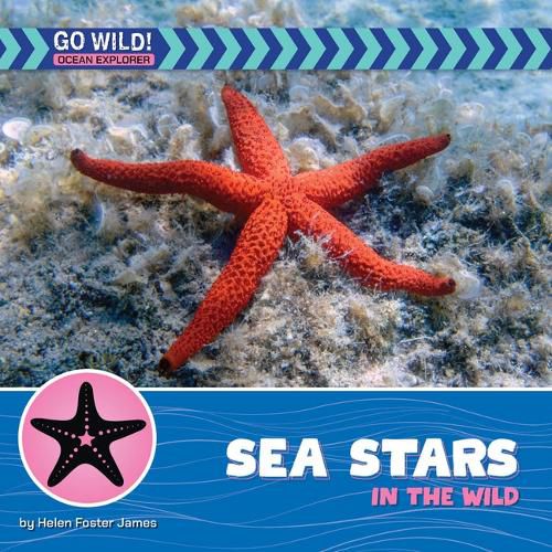 Cover image for Sea Stars in the Wild