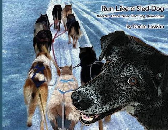 Cover image for Run Like a Sled Dog: Another Black Bear Sled Dog Adventure