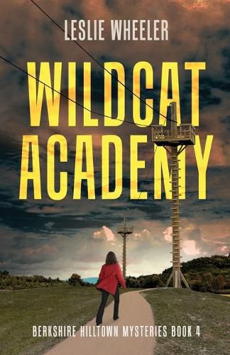 Cover image for Wildcat Academy