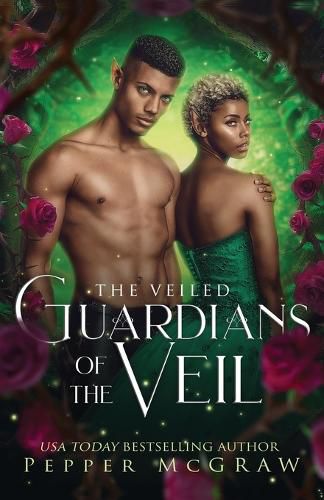 Cover image for Guardians of the Veil