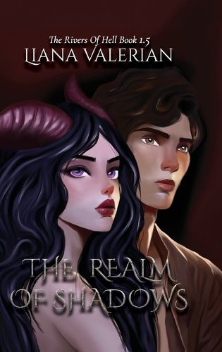 Cover image for The Realm of Shadows