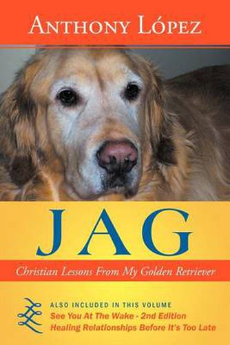 Cover image for Jag