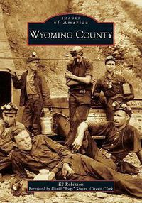 Cover image for Wyoming County