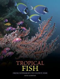 Cover image for Tropical Fish