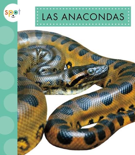 Cover image for Las Anacondas