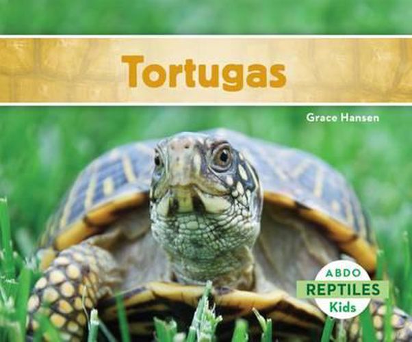 Cover image for Tortugas