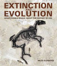 Cover image for Extinction and Evolution