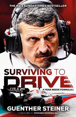 Cover image for Surviving to Drive