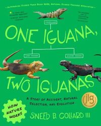 Cover image for One Iguana, Two Iguanas: A Story of Accident, Natural Selection, and Evolution