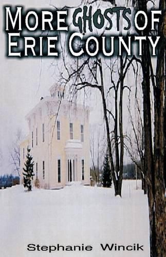 Cover image for More Ghosts of Erie County