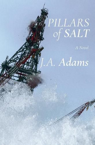 Cover image for Pillars of Salt