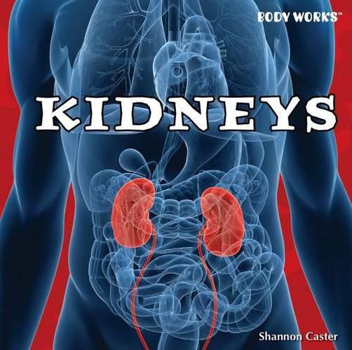 Cover image for Kidneys