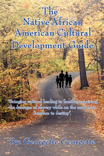 Cover image for The Native African American Cultural Development Guide