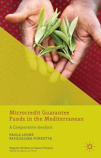 Cover image for Microcredit Guarantee Funds in the Mediterranean: A Comparative Analysis