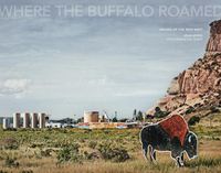 Cover image for Joan Myers: Where the Buffalo Roamed: Images of the New West